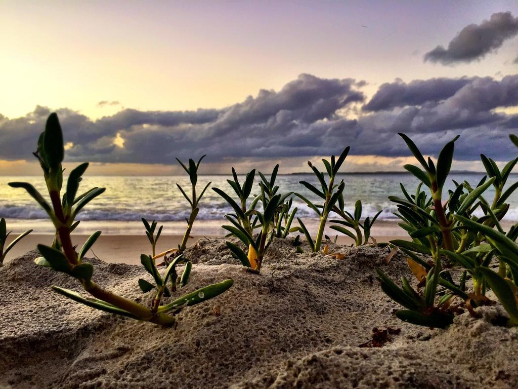 Stradbroke Island Beach Hotel Point Lookout Exteriér fotografie